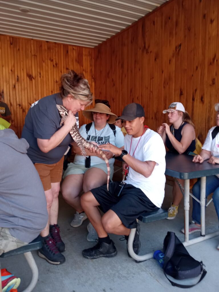 Campers meeting a reptile